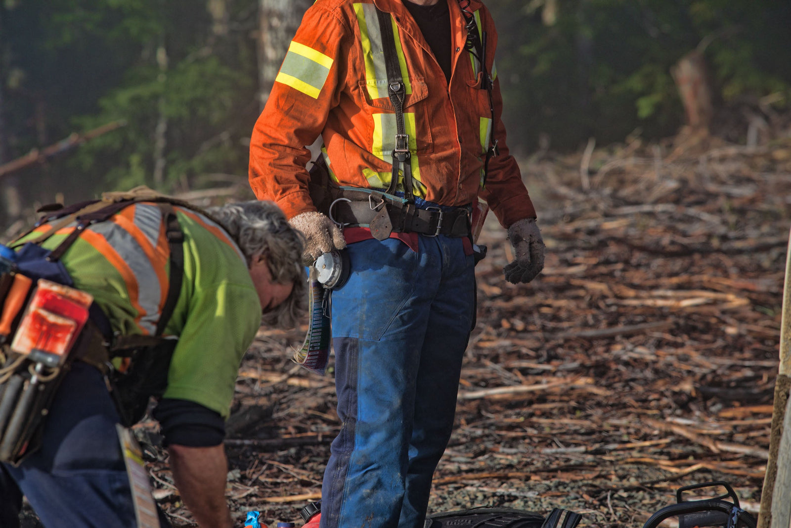 Two fallers working on a cut block, one standing in blue saw pants with wedges and a tape on his belt, the other kneeling over gear