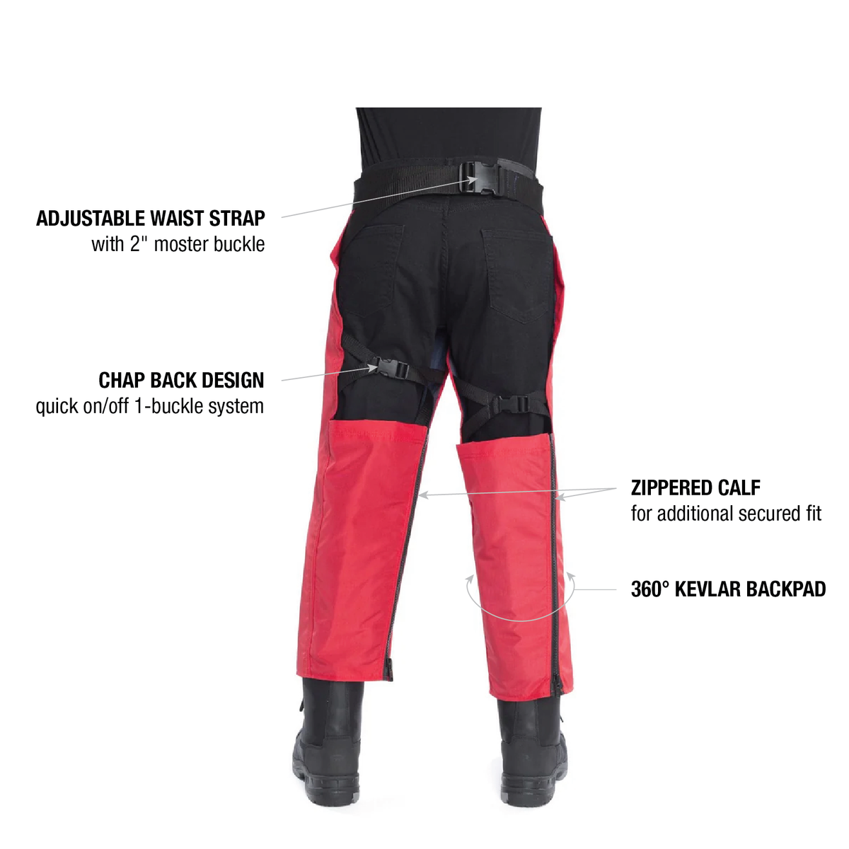 Chap Pro Backpad 3600 chaps, back callout diagram labeling the adjustable waist strap, back design, zippered calf and Kevlar backpad