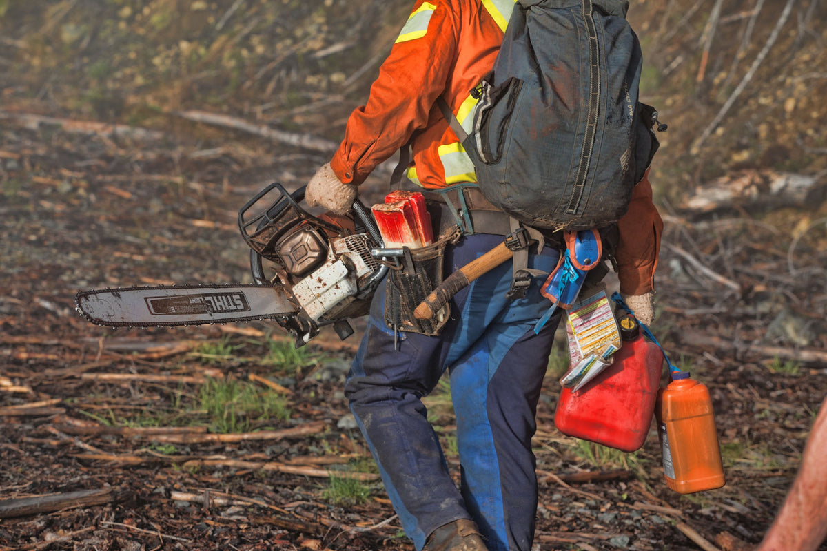 Faller walking out of the cut carrying his chainsaw, wedges and fuel cans, wearing blue saw pants